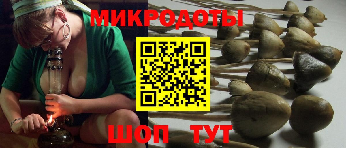 Киселёвск  Галлюциногенные грибы мухоморы  Вход с VPN 